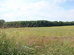 078 Longwood Gardens [2008 August 23]